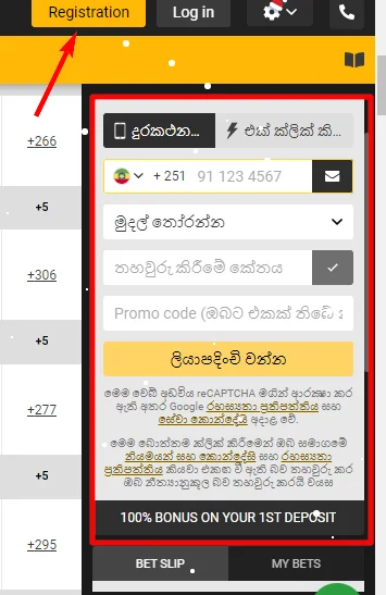 Registration in Malbet SL